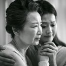 D00383 코메디닷컴