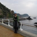 강경황산초등학교 Daum카페
