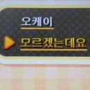 미야옹 이미지