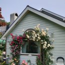 브로칸트 하우스 이미지