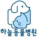 수원 오즈동물병원 이미지