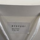 바이슈기 이미지