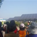 강동 태양광발전소 이미지