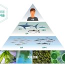 오메가플러스 이미지