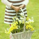 오정선 카카오 검색결과