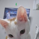 천일흑염소 | [25.12.29-26.01.04] 오늘 하루