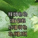 Moon안다미로