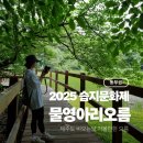 꿈나무교통나라 | 제주 물영아리오름 소요시간 2025 람사르습지문화제
