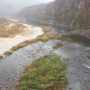 강가에아침 이미지