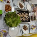 골드스푼애견풀빌라 이미지
