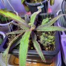 아델라농장 이미지