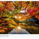 좋은풍경연구소 이미지