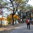 대신공원 숲길 이미지