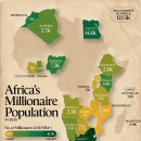 2025년 국가별 아프리카 백만장자 인구 이미지