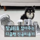 차차그루밍 | 디클펫미용기 진공흡입미용기 직접 사용해본 후기