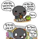 마트짱 - 정읍시 | 마트짱