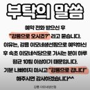 광전식당 - 영월군 | [강릉 맛집] 이모네생선찜 전화 예약 방법(7통 성공 후기)내돈내산