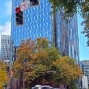 원한양마트 | 시애틀 여행 아마존 더스피어스 바나나 스탠드 아마존고 이용후기