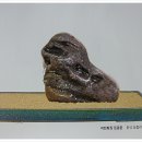 예산농협대흥지소 이미지