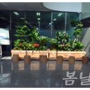 에이스팩주식회사