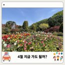 통일동산펜션 | 경기도 가평 가볼만한곳 아침고요수목원 가는길 입장료 주차 총정리 봄꽃 페스타 4월 후기