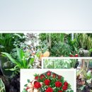 고향꽃화원 이미지