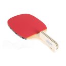 탁구초급 이미지