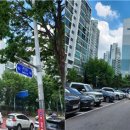안양신기초등학교 이미지
