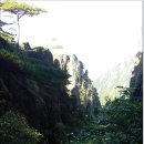 중국 삼청산(三淸山),황산(黃山) 산행기---(2010. 10.12-16) 이미지