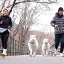 한양목장 이미지