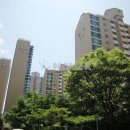 분당초교 앞 이미지