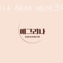 예그리나헤어 이미지