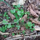 산골짜기농장 이미지