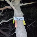 배티로 사슴농장 이미지