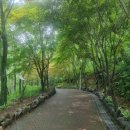 입곡군립공원(산림욕장) 이미지