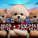 연제구-045 네이버블로그