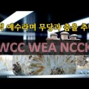 오직 예수라며 무당과 춤을 추나? WCC, WEA, 이미지