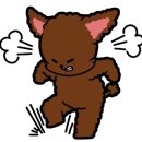 유박사칼국수