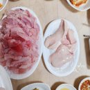 부안생합집 이미지