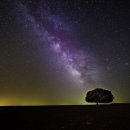 재미로 풀어보는 사주명리학 이미지