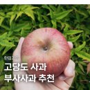 착한사과 | 고당도사과 추천 한입과득 부사사과 후기