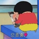 젤리조아 Daum카페