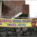 오왕횟집