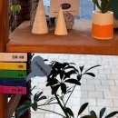 뜨식공 이미지