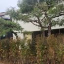 젤리엘, 쁘띠엘 이미지