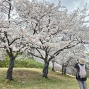 나들이공원 배드민턴장 이미지