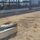 경남축사 이미지