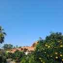 웨스티하우스 이미지