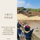 스핑크스 타조농장, 서산 동물카페를 찾으신다면 방문해보세요:) 요금/꿀팁 정리!