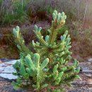 은색농장 이미지